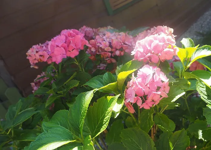 Ferienhuette In 루폴딩